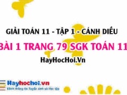 Giải bài 1 trang 79 Toán 11 tập 1 SGK Cánh Diều